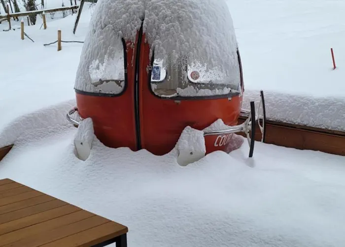 Les Cochettes Alpstuga